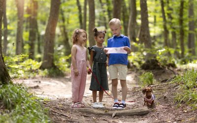 Fun Summer Nature Scavenger Hunt For Your Child